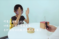注意力的4種特質
